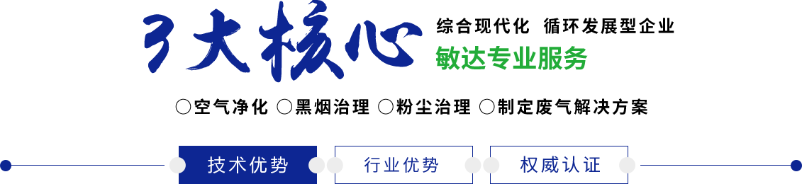 我要把美女日出水来的高清敏达环保科技（嘉兴）有限公司